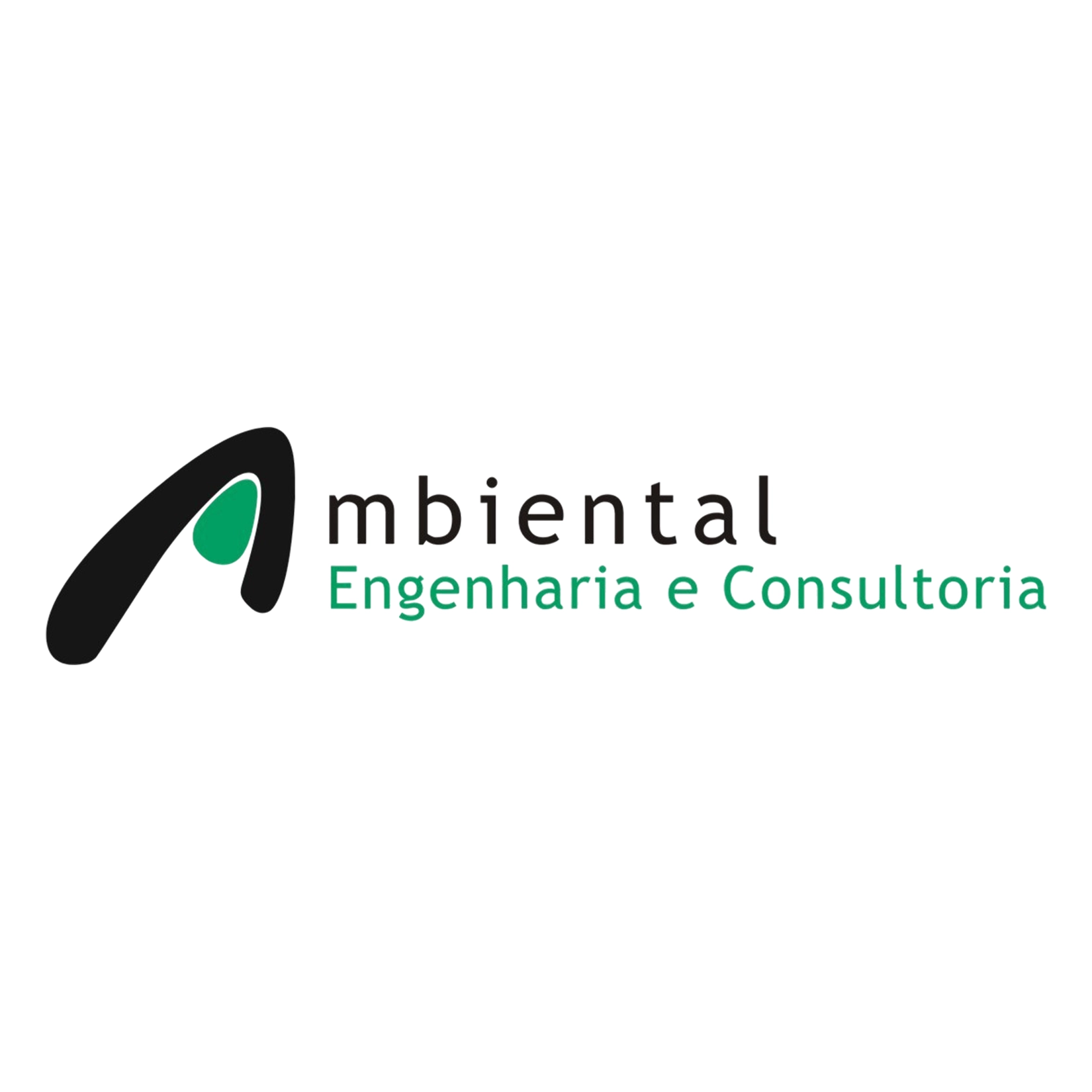 Ambiental - Engenharia e Consultoria