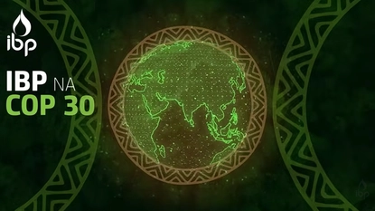 Ana Mandelli: Lei Combustível do Futuro e SAF | IBP na COP 30