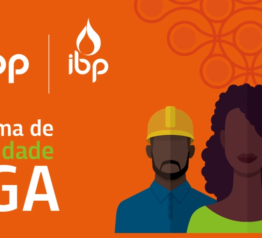 Programa de Diversidade ZIGA