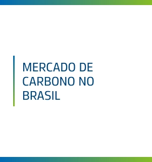 Mercado de Carbono no Brasil