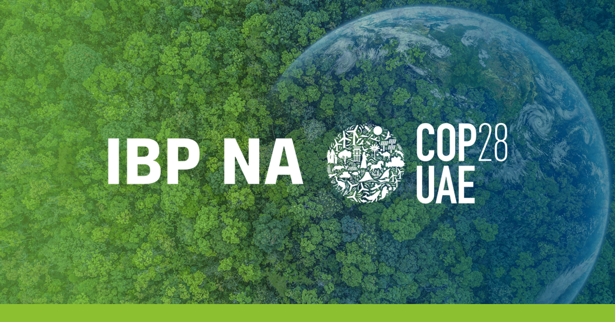 Nova controvérsia a envolver a presidência da COP 28 no Dubai